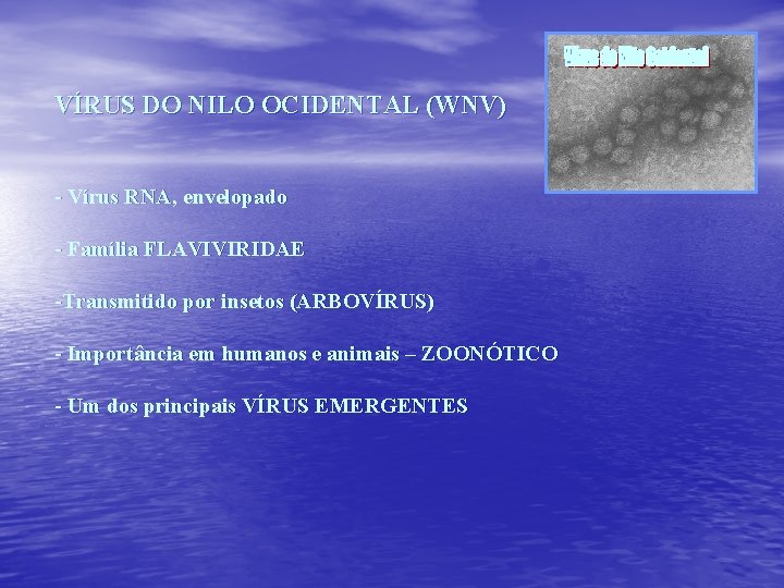 VÍRUS DO NILO OCIDENTAL (WNV) - Vírus RNA, envelopado - Família FLAVIVIRIDAE -Transmitido por