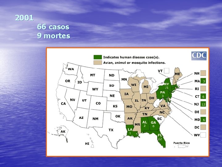 2001 66 casos 9 mortes 