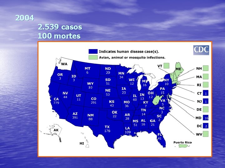 2004 2. 539 casos 100 mortes 