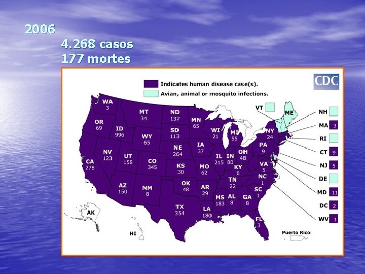 2006 4. 268 casos 177 mortes 