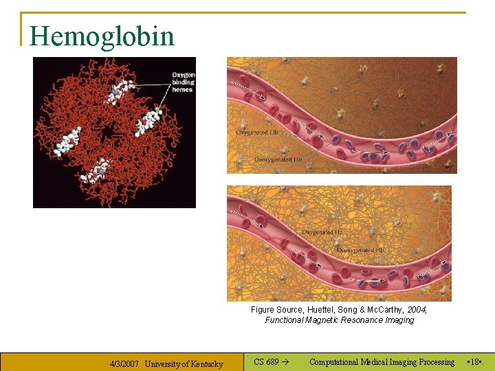 Hemoglobin Figure Source, Huettel, Song & Mc. Carthy, 2004, Functional Magnetic Resonance Imaging 4/3/2007