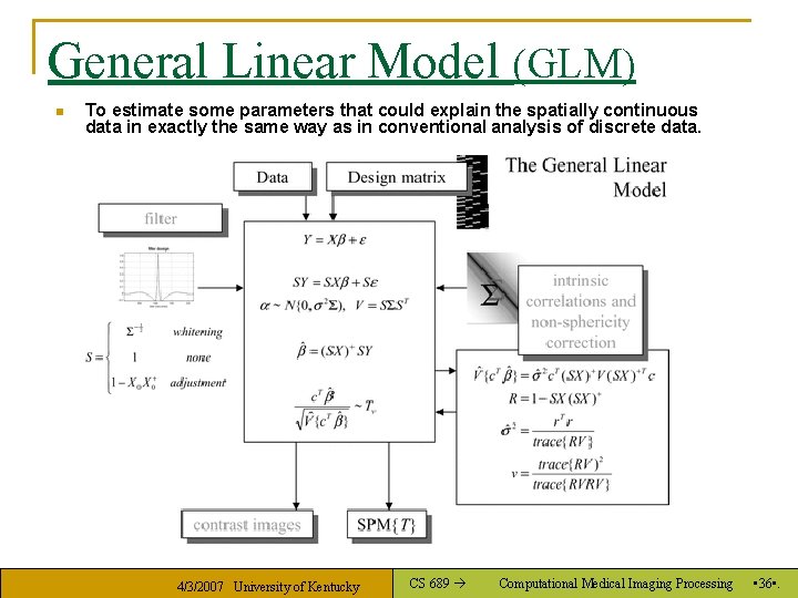 General Linear Model (GLM) n To estimate some parameters that could explain the spatially