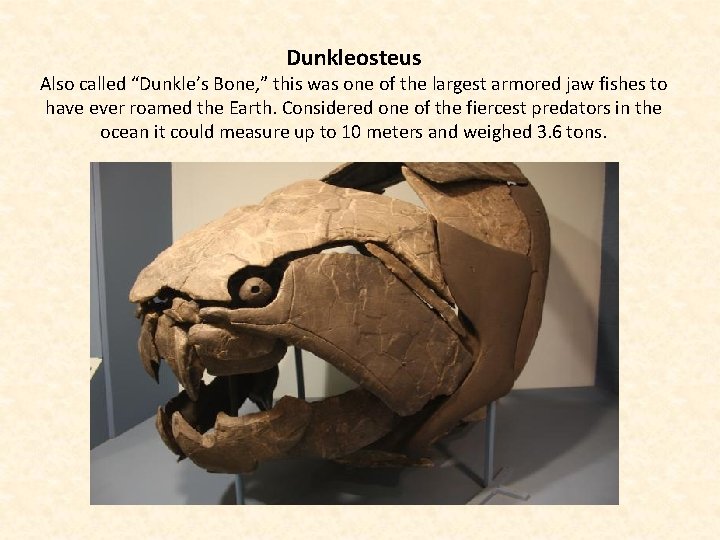 Dunkleosteus Also called “Dunkle’s Bone, ” this was one of the largest armored jaw