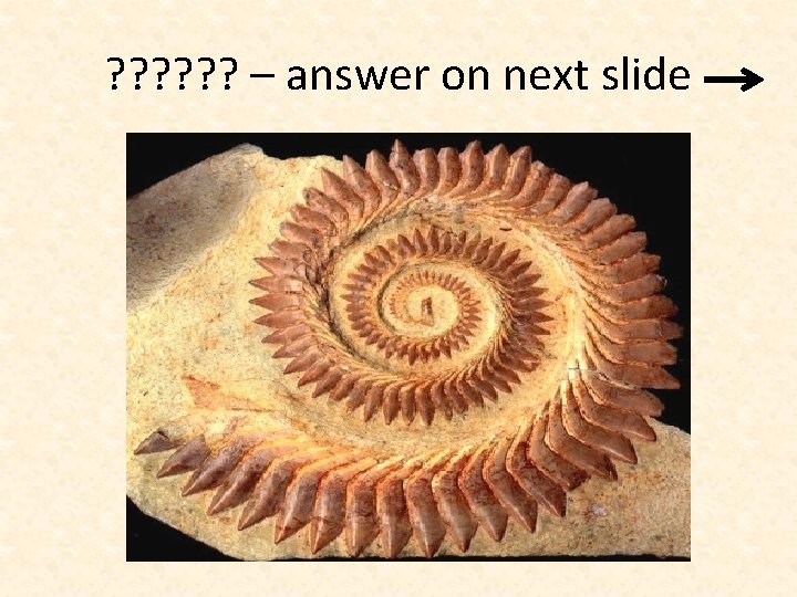 ? ? ? – answer on next slide 