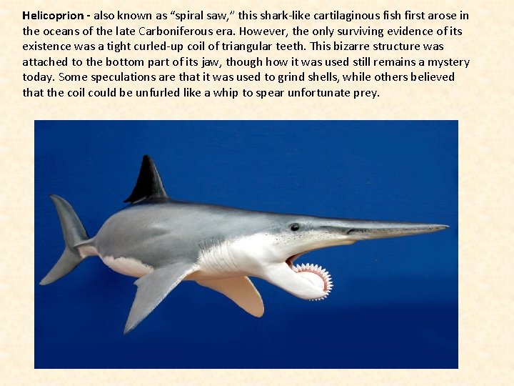 Helicoprion - also known as “spiral saw, ” this shark-like cartilaginous fish first arose