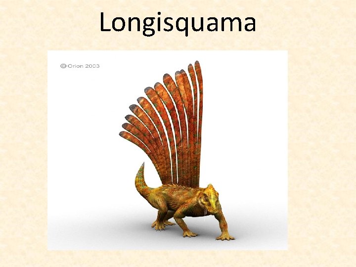 Longisquama 