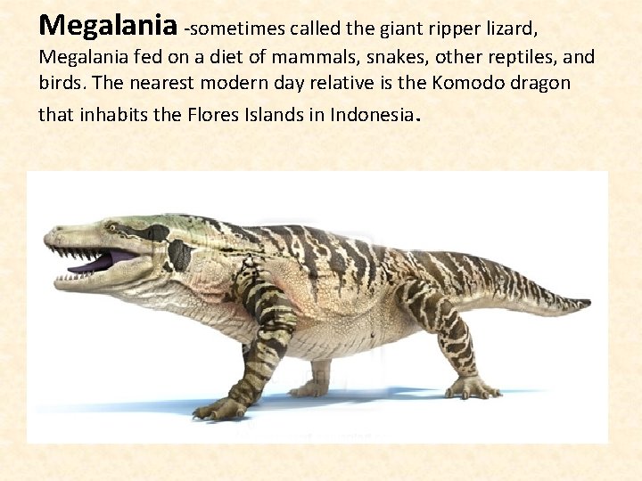 Megalania -sometimes called the giant ripper lizard, Megalania fed on a diet of mammals,