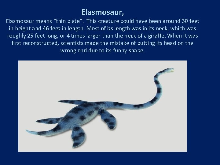 Elasmosaur, Elasmosaur means “thin plate”. This creature could have been around 30 feet in