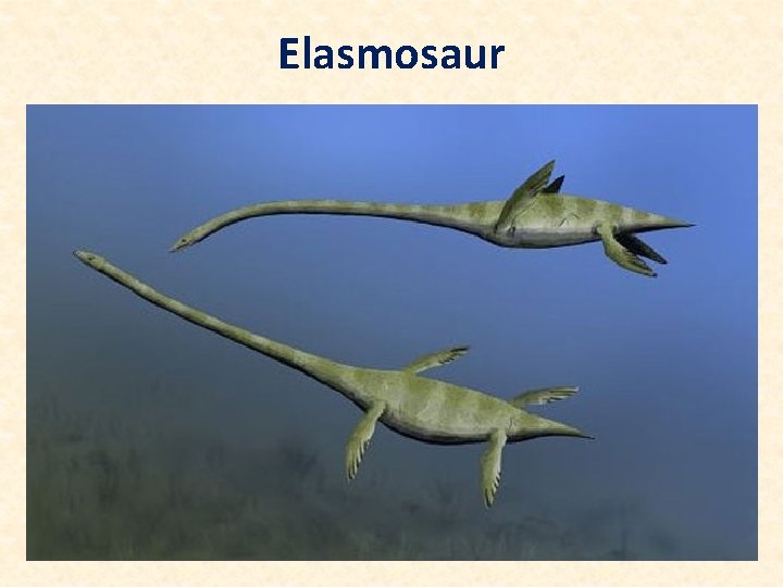 Elasmosaur 