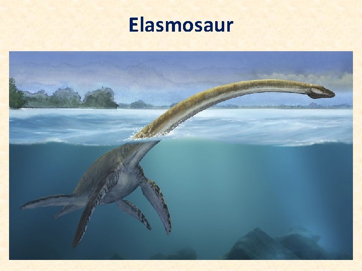 Elasmosaur 