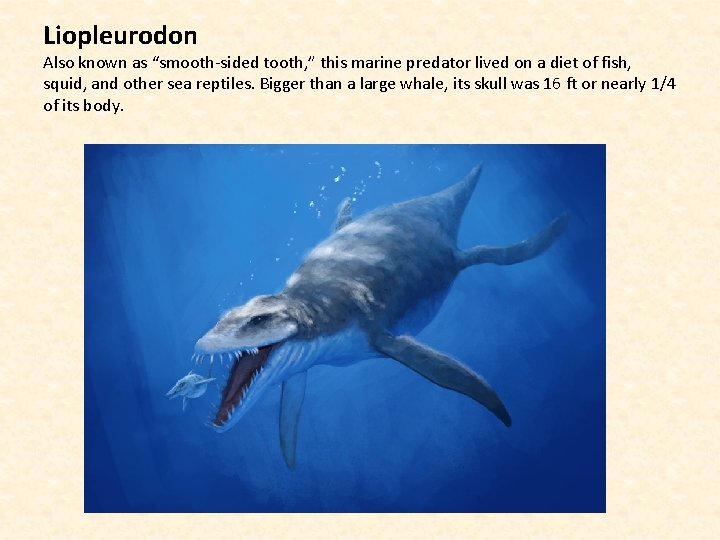 Liopleurodon Also known as “smooth-sided tooth, ” this marine predator lived on a diet