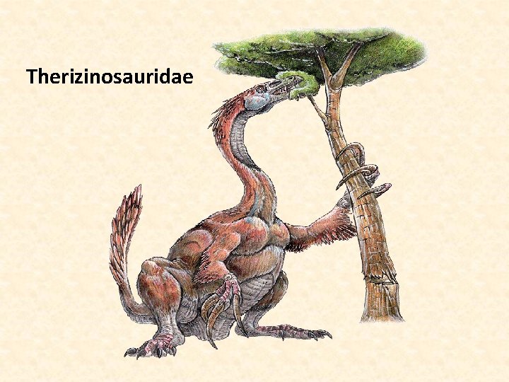 Therizinosauridae 