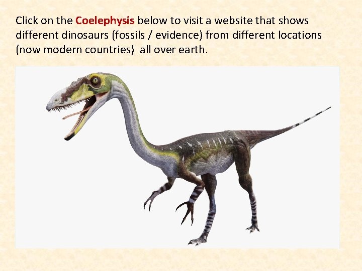 Click on the Coelephysis below to visit a website that shows different dinosaurs (fossils