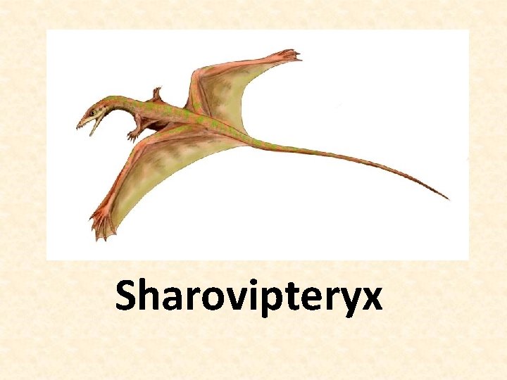 Sharovipteryx 