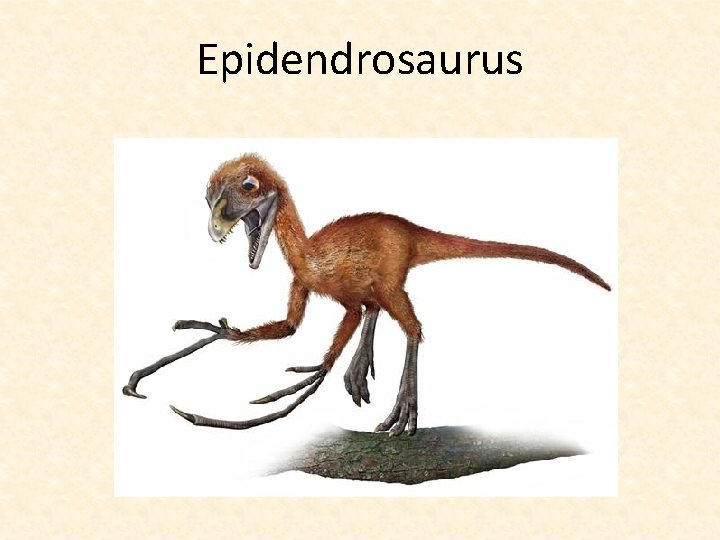Epidendrosaurus 