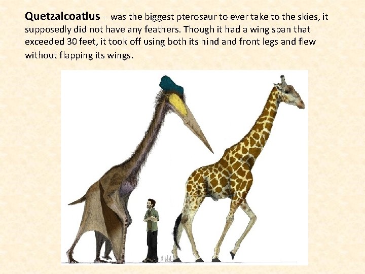 Quetzalcoatlus – was the biggest pterosaur to ever take to the skies, it supposedly
