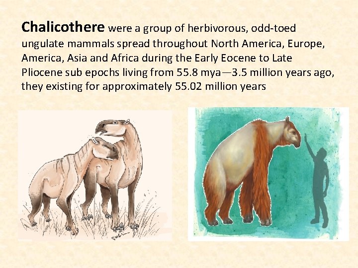 Chalicothere were a group of herbivorous, odd-toed ungulate mammals spread throughout North America, Europe,
