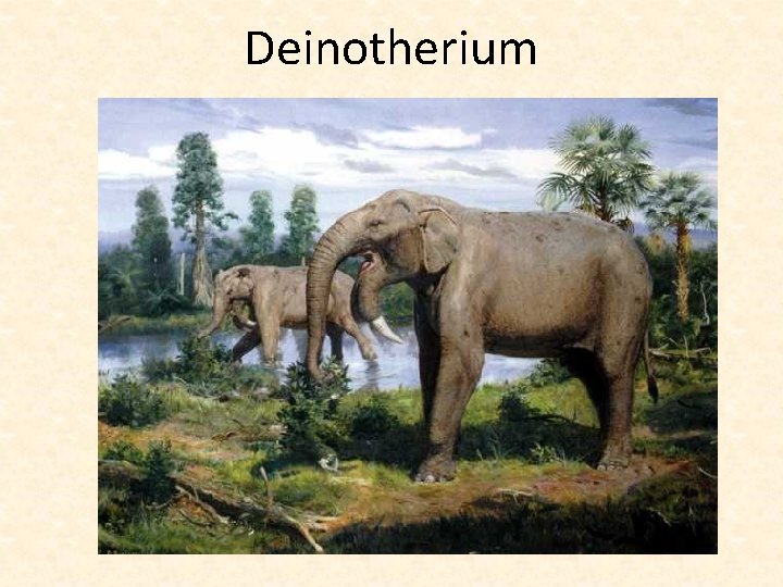 Deinotherium 