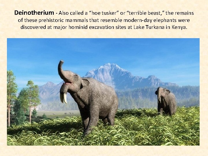 Deinotherium - Also called a “hoe tusker” or “terrible beast, ” the remains of