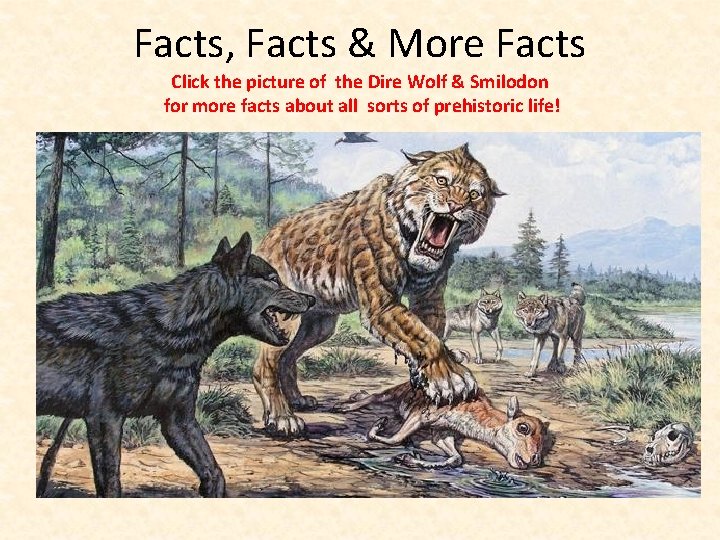 Facts, Facts & More Facts Click the picture of the Dire Wolf & Smilodon