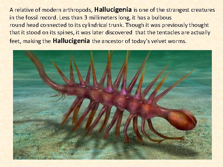 A relative of modern arthropods, Hallucigenia is one of the strangest creatures in the