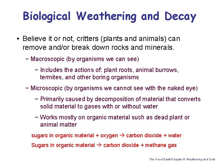 Biological Weathering and Decay • Believe it or not, critters (plants and animals) can