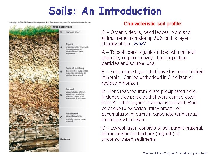 Soils: An Introduction Characteristic soil profile: O – Organic debris, dead leaves, plant and