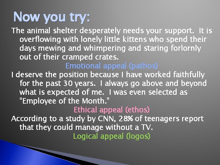 Now you try: The animal shelter desperately needs your support. It is overflowing with