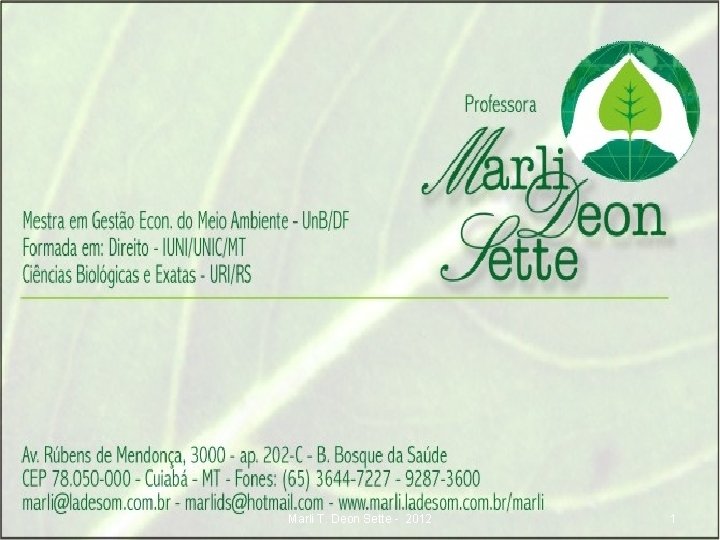 Marli T. Deon Sette - 2012 1 