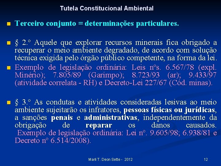 Tutela Constitucional Ambiental n Terceiro conjunto = determinações particulares. n § 2. º Aquele