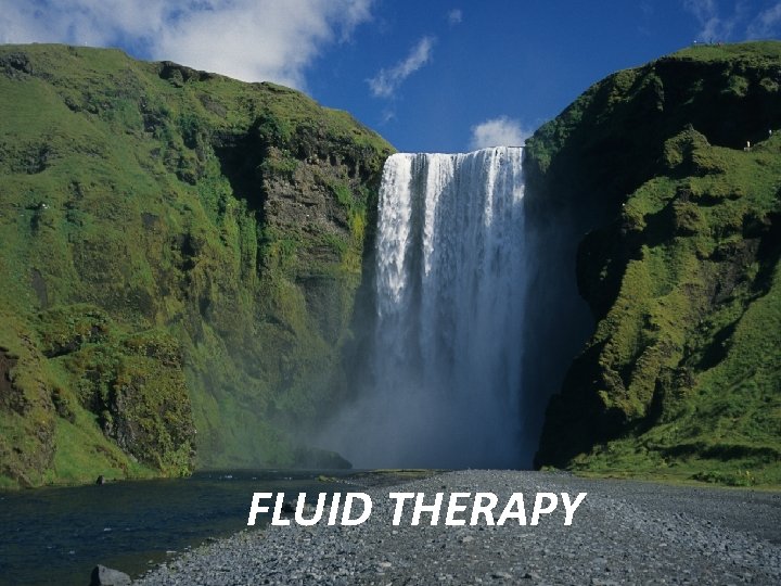 FLUID THERAPY 