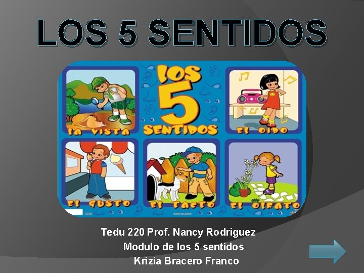 LOS 5 SENTIDOS Tedu 220 Prof. Nancy Rodriguez Modulo de los 5 sentidos Krizia