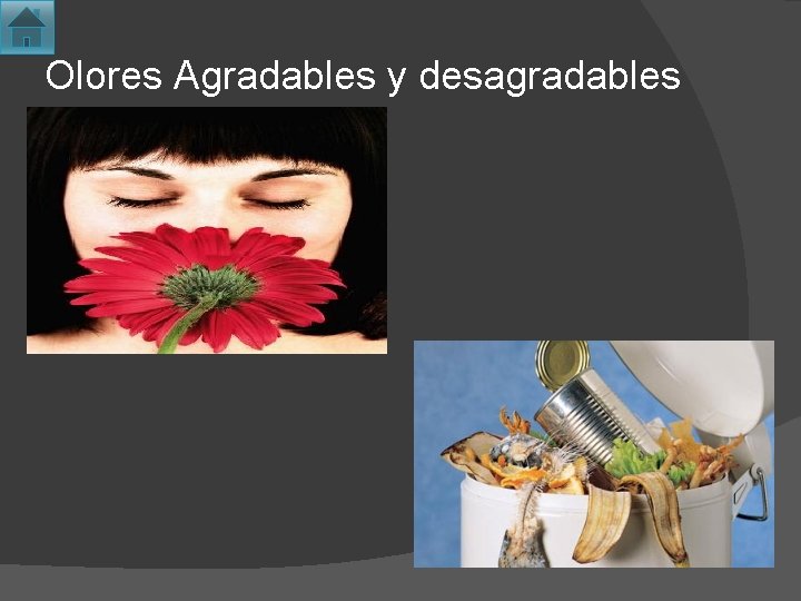 Olores Agradables y desagradables 