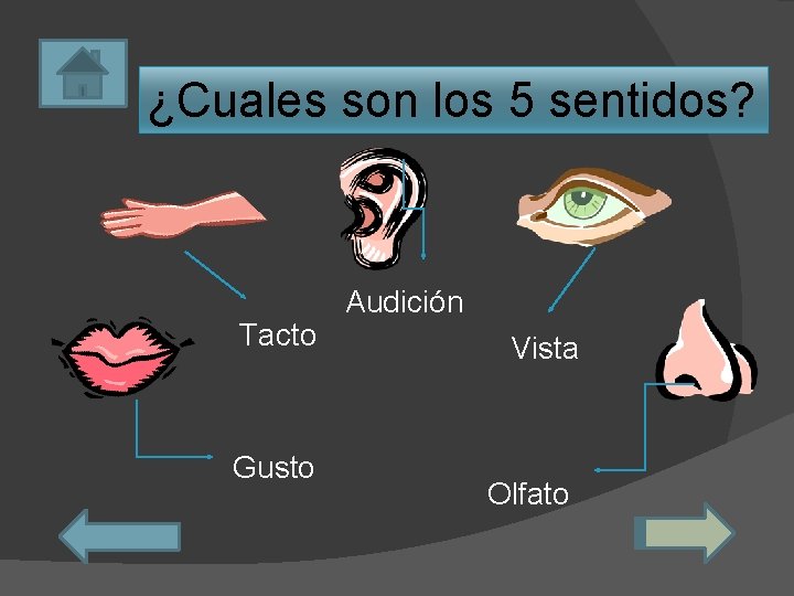 ¿Cuales son los 5 sentidos? Tacto Gusto Audición Vista Olfato 