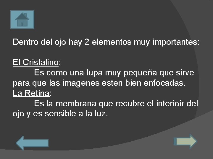 Dentro del ojo hay 2 elementos muy importantes: El Cristalino: Es como una lupa