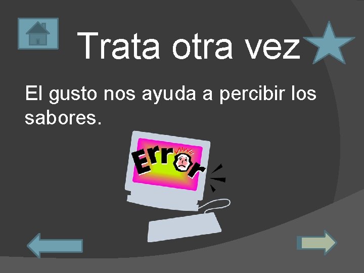 Trata otra vez El gusto nos ayuda a percibir los sabores. 