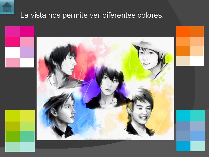 La vista nos permite ver diferentes colores. 