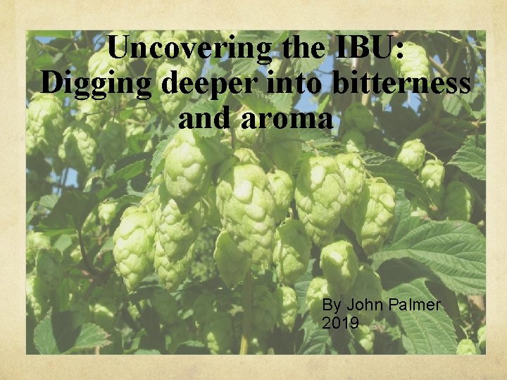 Uncovering the IBU: Digging deeper into bitterness and aroma By John Palmer 2019 