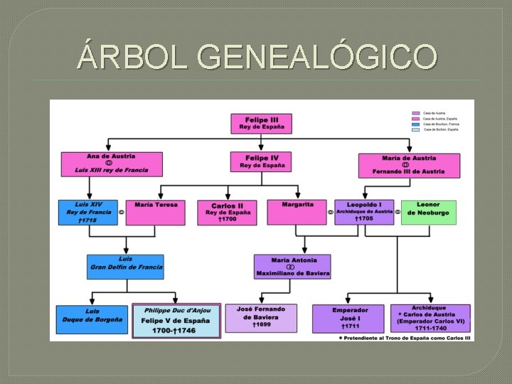 ÁRBOL GENEALÓGICO 