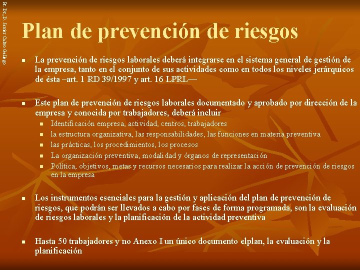 Pr. Dr, D. Javier Calvo Gallego Plan de prevención de riesgos n n La