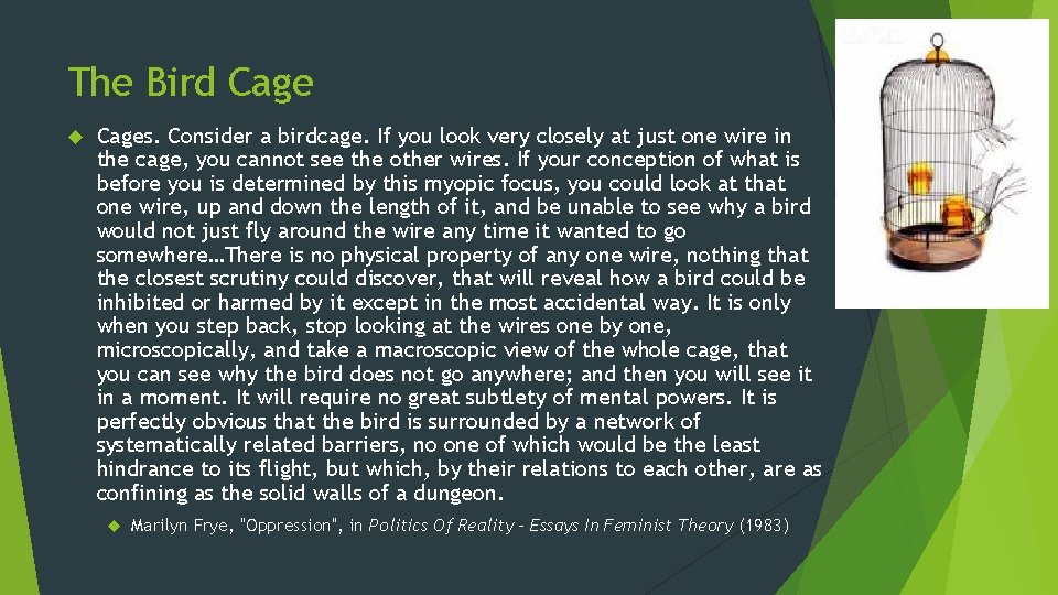 The Bird Cages. Consider a birdcage. If you look very closely at just one