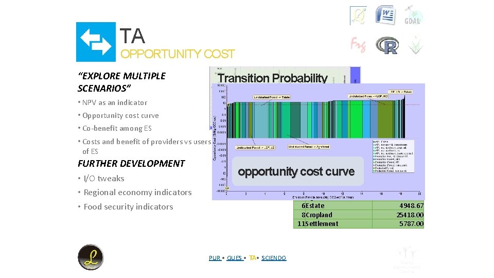 TA OPPORTUNITY COST “EXPLORE MULTIPLE SCENARIOS” Transition Probability Matrix • NPV as an indicator