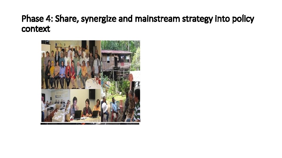 Phase 4: Share, synergize and mainstream strategy into policy context • Conduct public consultation