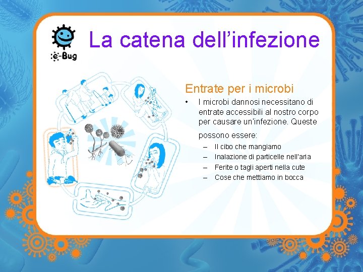 La catena dell’infezione Entrate per i microbi • I microbi dannosi necessitano di entrate