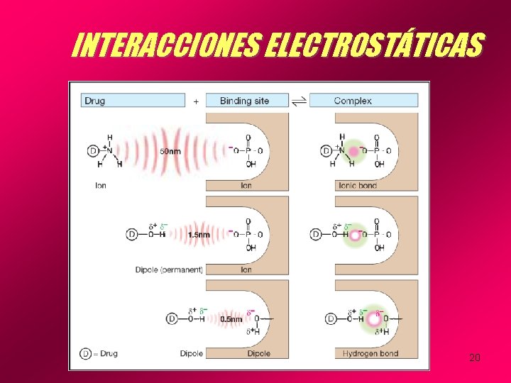 INTERACCIONES ELECTROSTÁTICAS 20 