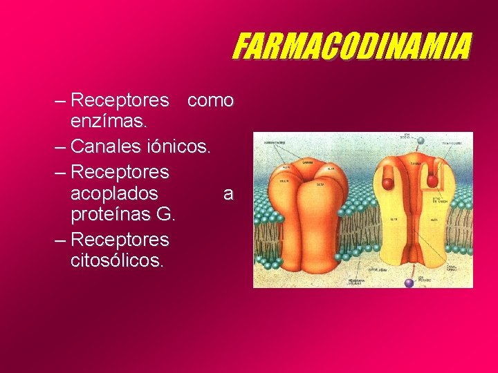 FARMACODINAMIA – Receptores como enzímas. – Canales iónicos. – Receptores acoplados a proteínas G.