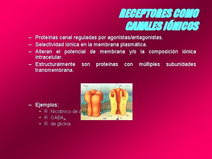 RECEPTORES COMO CANALES IÓNICOS – Proteínas canal reguladas por agonistas/antagonistas. – Selectividad iónica en