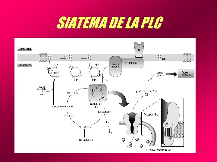 SIATEMA DE LA PLC 41 