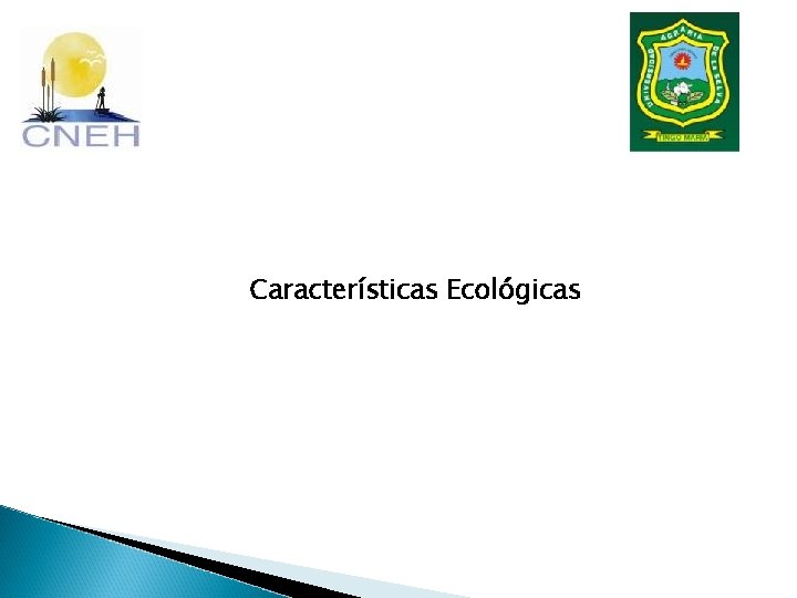 Características Ecológicas 