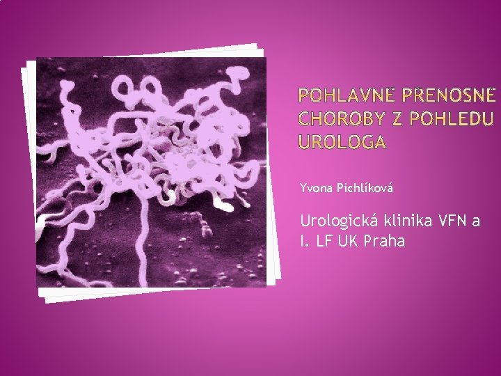 Yvona Pichlíková Urologická klinika VFN a I. LF UK Praha 
